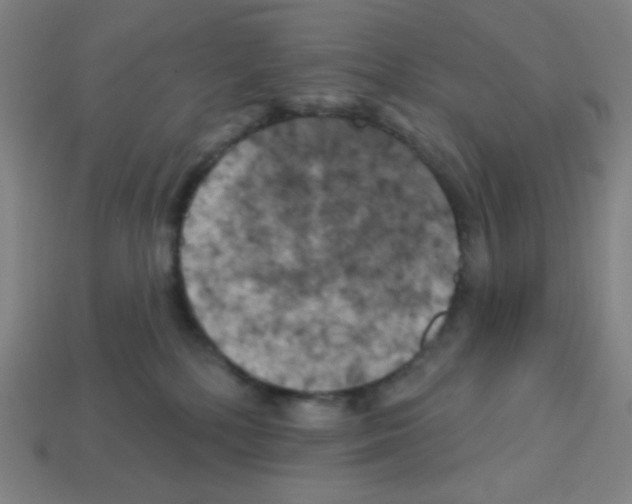 X0000113050232200910081238