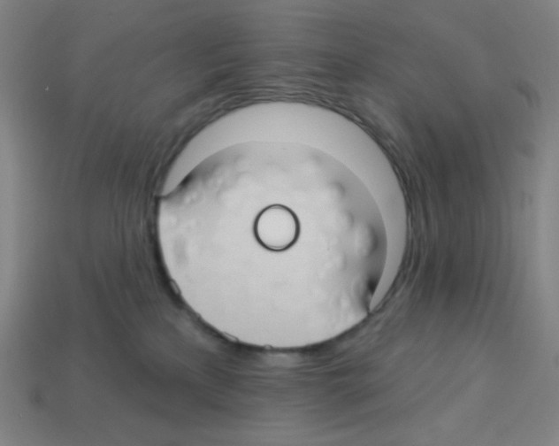 X0000113050233200910081238