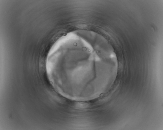 X0000113050234200910081238