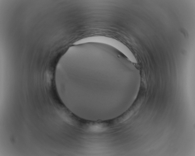 X0000113050235200910081238