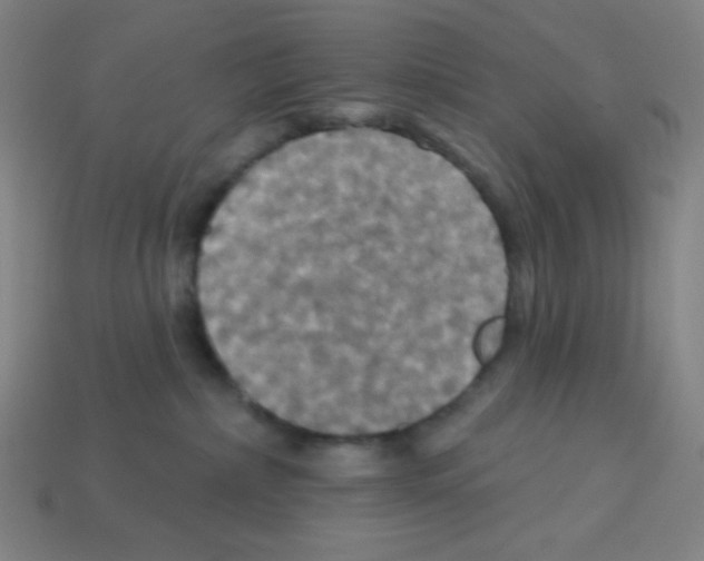 X0000113050236200910081238