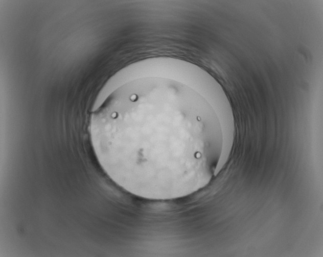 X0000113050237200910081238