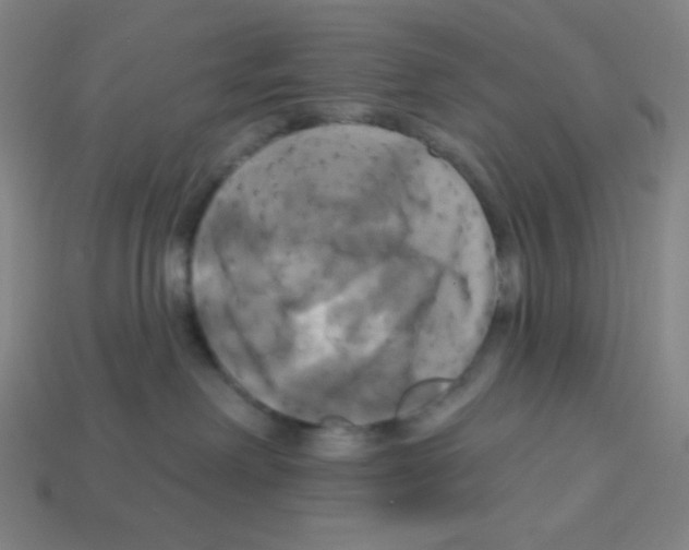 X0000113050238200910081238