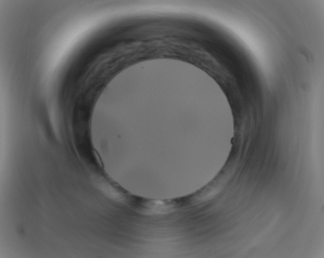 X0000113050239200910081238