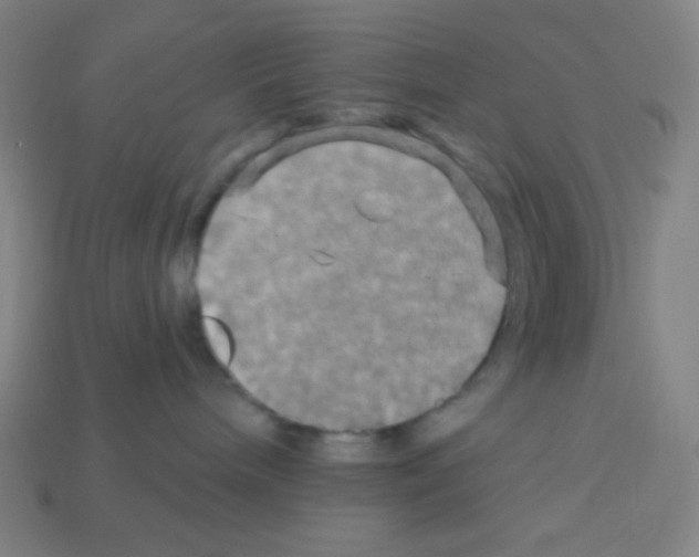 X0000113050240200910081238