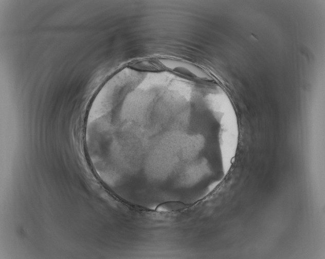 X0000113050241200910081237