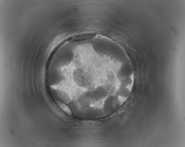 X0000113050242200910081237