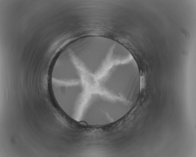 X0000113050243200910081237