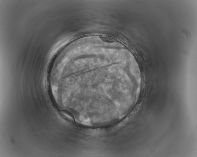 X0000113050245200910081237