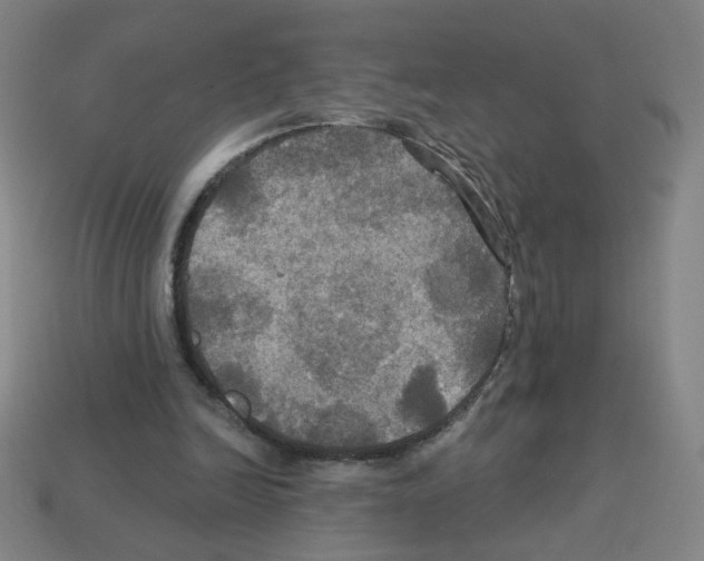 X0000113050246200910081237