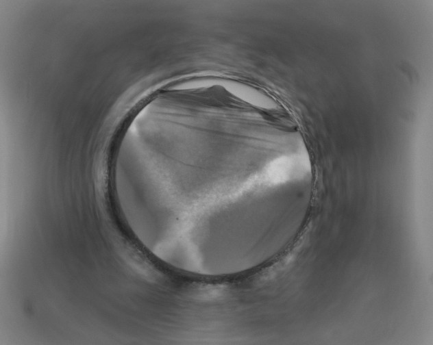 X0000113050247200910081237