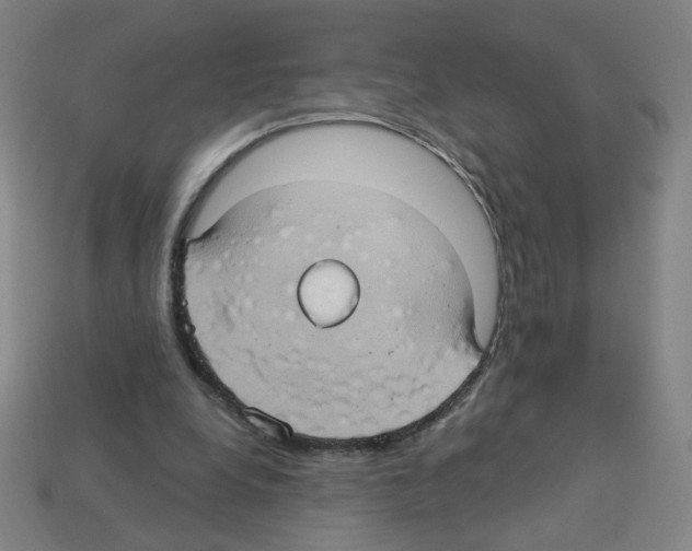 X0000113050248200910081237