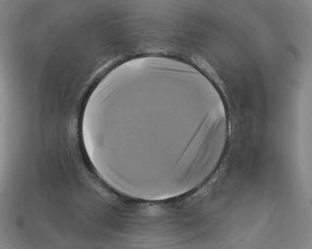 X0000113050249200910081237