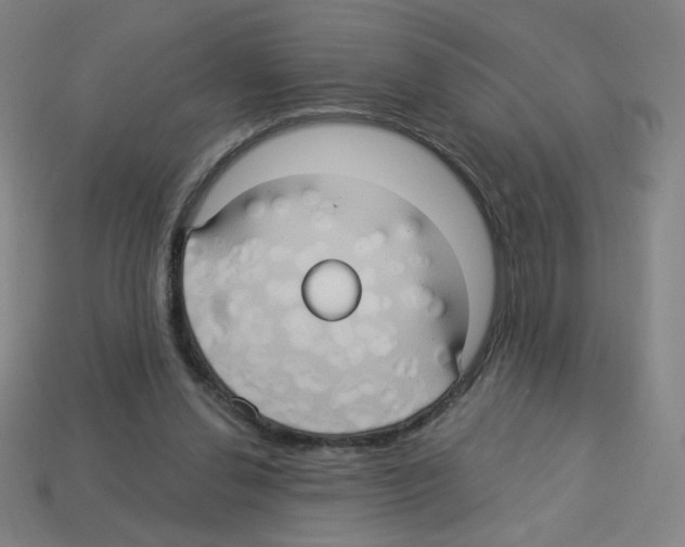 X0000113050252200910081237