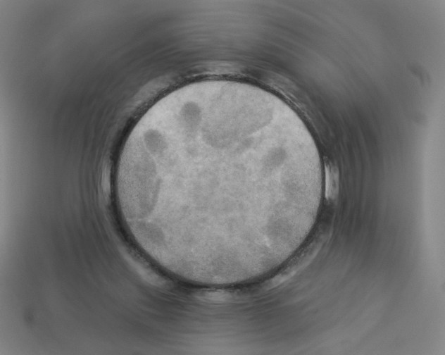 X0000113050253200910081237