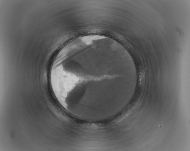 X0000113050254200910081237