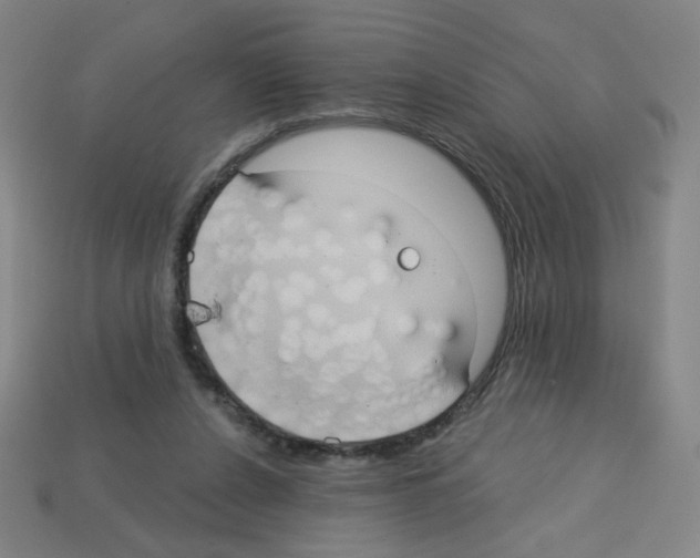 X0000113050256200910081237