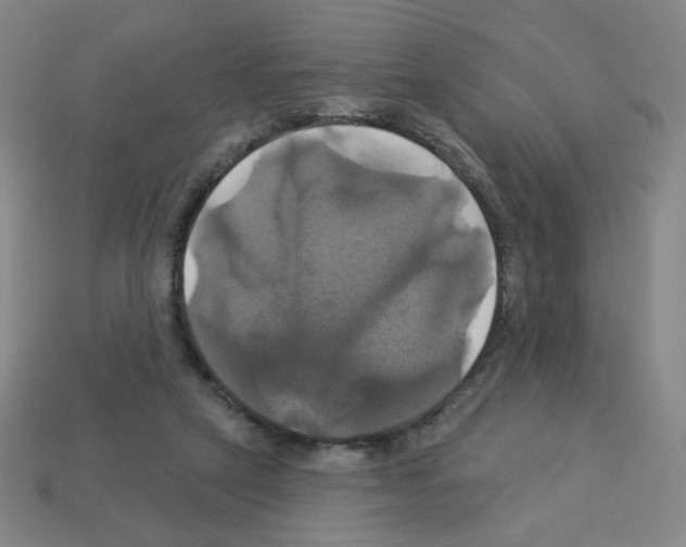 X0000113050257200910081237