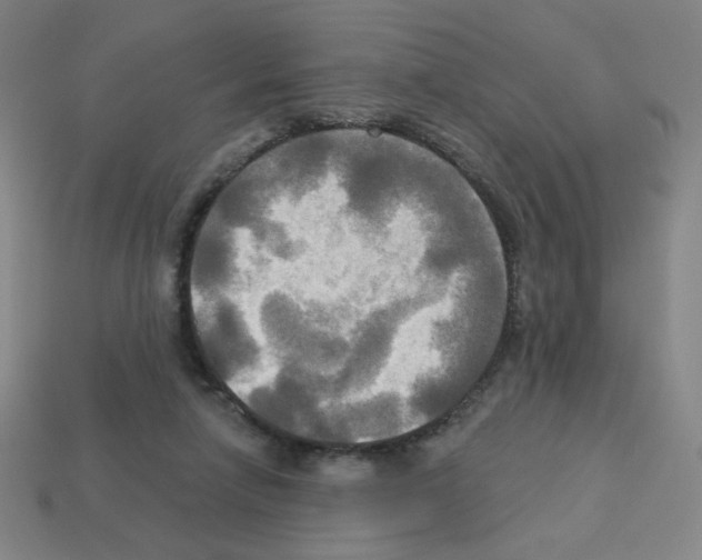 X0000113050258200910081237