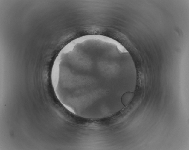 X0000113050259200910081237