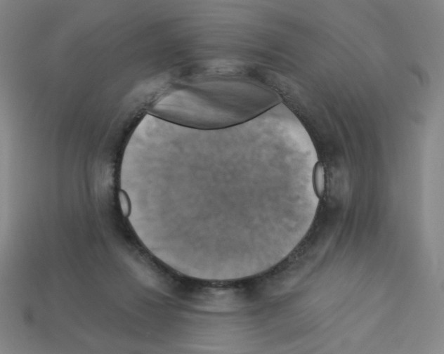 X0000113050260200910081237