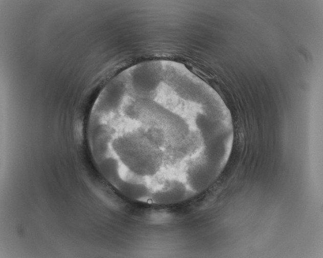 X0000113050262200910081237