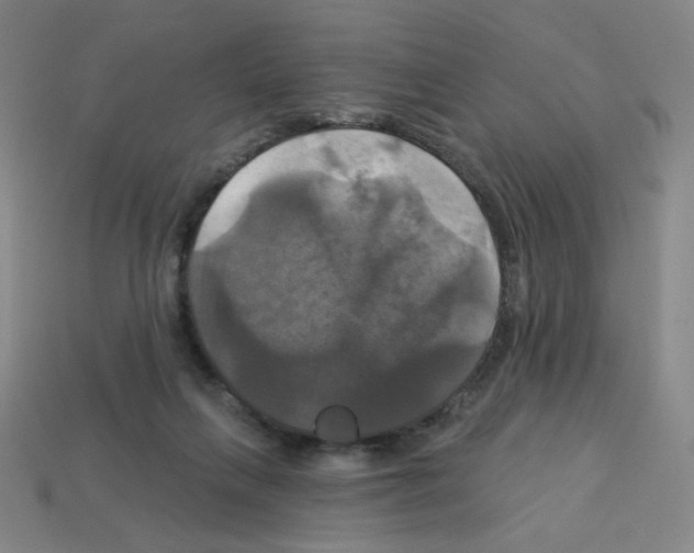 X0000113050263200910081237