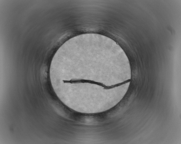 X0000113050264200910081237