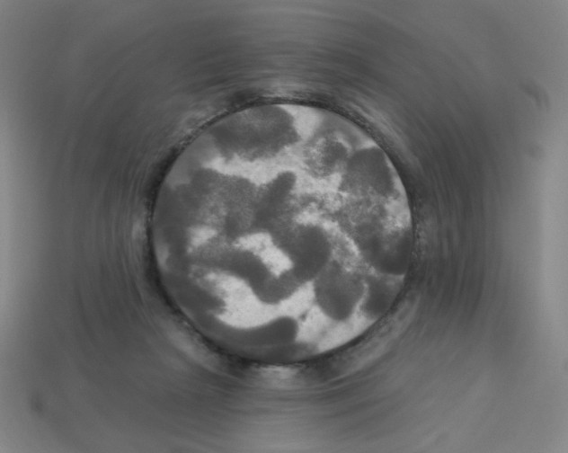 X0000113050265200910081237