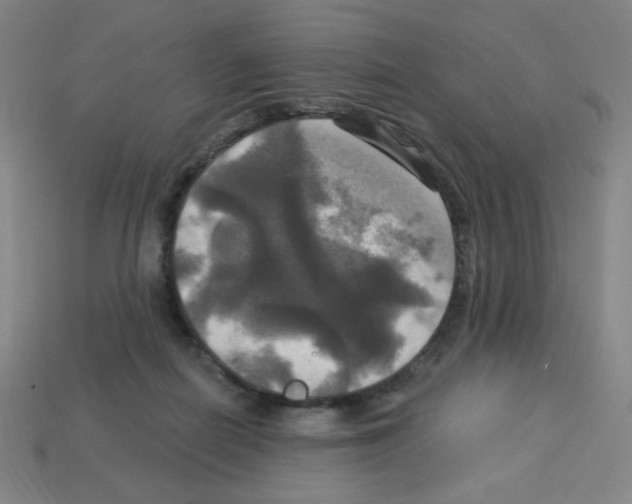 X0000113050266200910081237