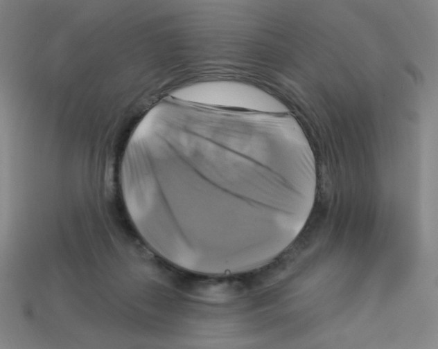 X0000113050267200910081237
