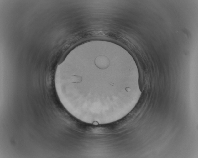 X0000113050268200910081237