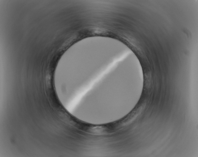 X0000113050269200910081237