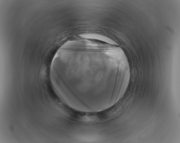 X0000113050270200910081237