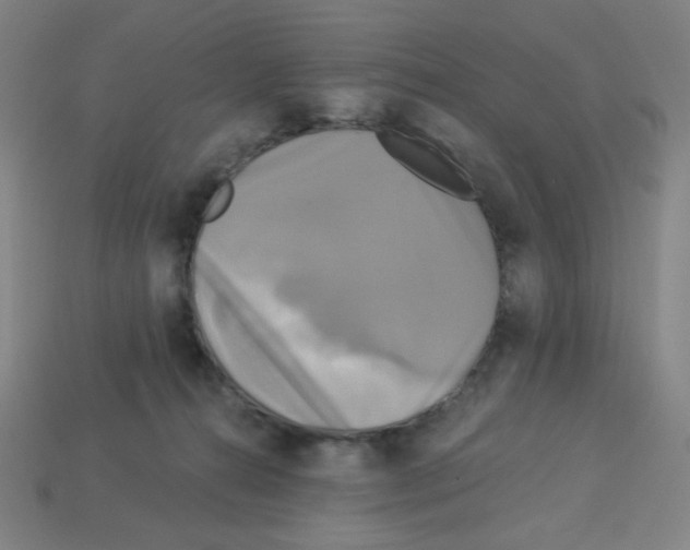 X0000113050272200910081237
