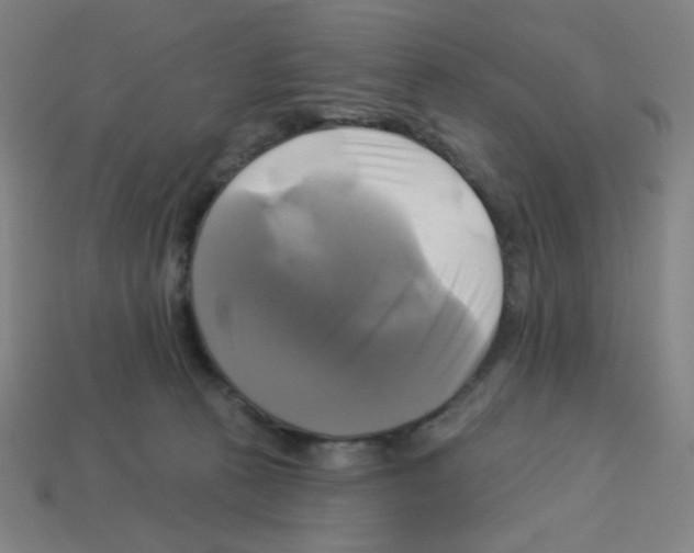 X0000113050273200910081237