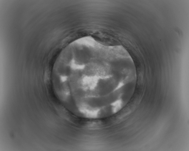 X0000113050274200910081238
