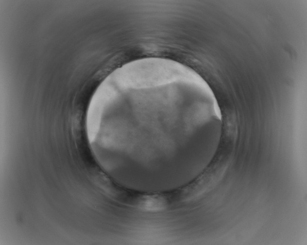 X0000113050275200910081238