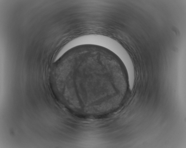 X0000113050276200910081238