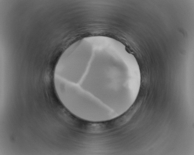 X0000113050277200910081238