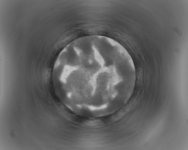 X0000113050278200910081238