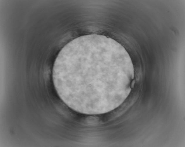 X0000113050279200910081238