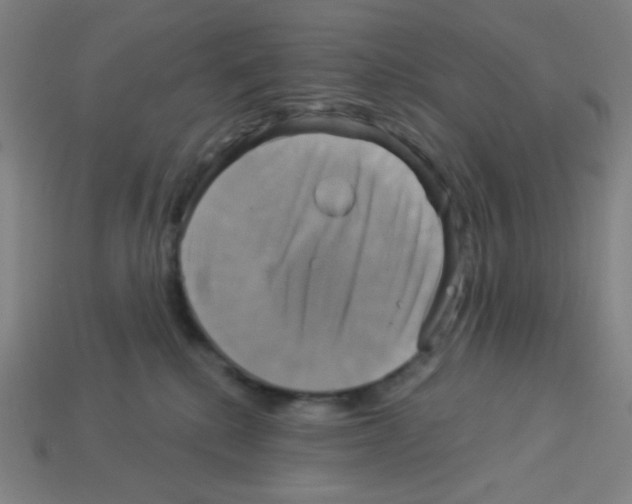 X0000113050280200910081238