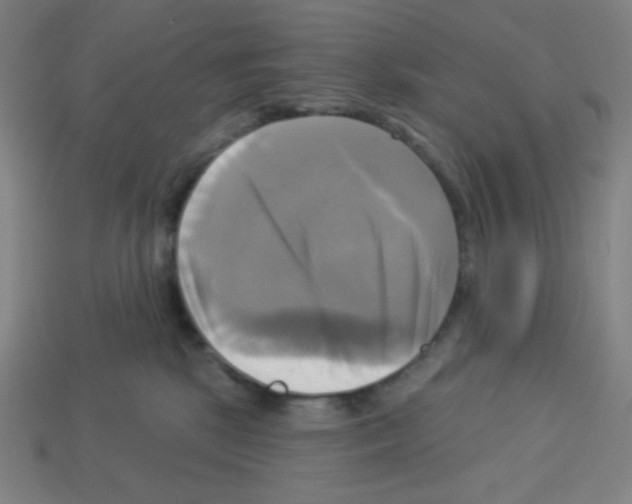 X0000113050281200910081238