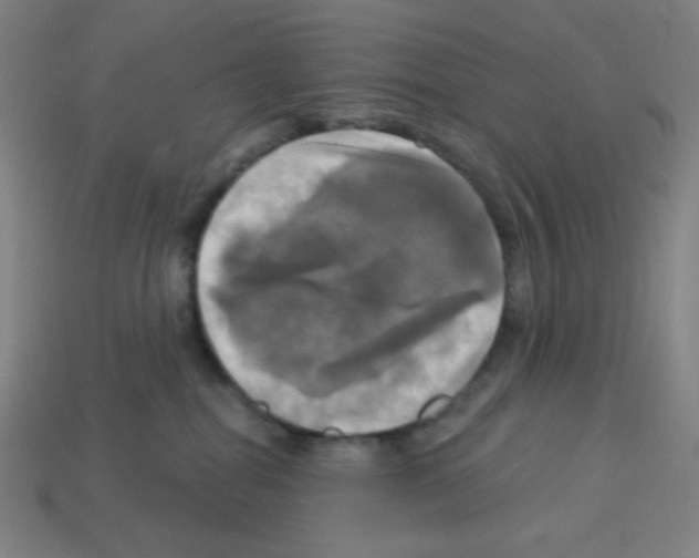 X0000113050282200910081238