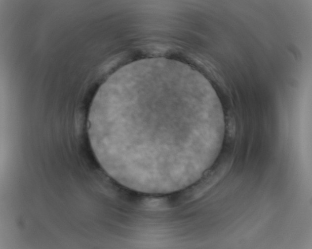 X0000113050283200910081238
