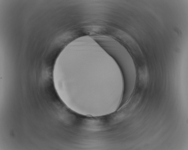 X0000113050284200910081238