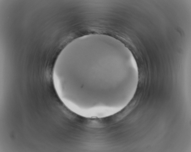 X0000113050285200910081238