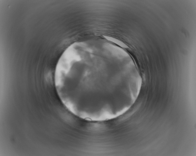 X0000113050286200910081238