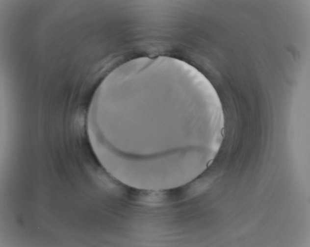 X0000113050288200910081238